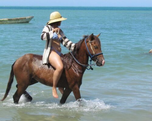Paseos a caballo por la playa en Puerto Plata