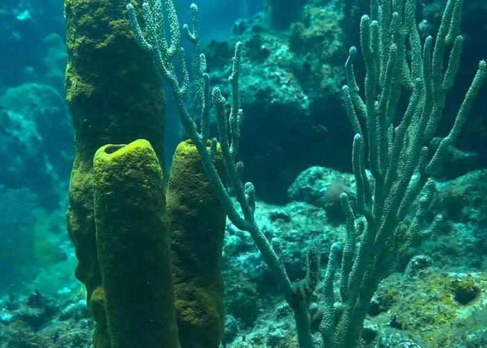 1b0b2aaa-15a2-4b89-b146-b06688729f1e