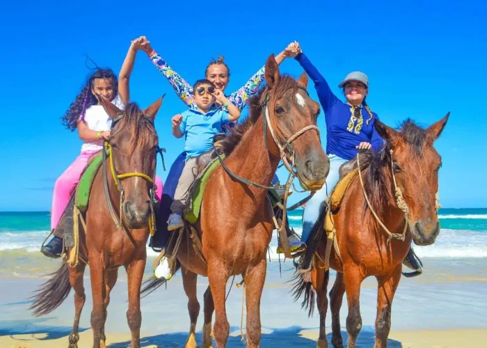 28dae8bf-3777-4e22-89f3-d47acb215ce8