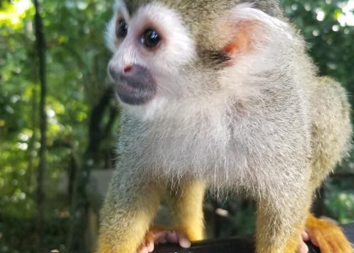 484962104_24043537168568830_6006291755013781632_n