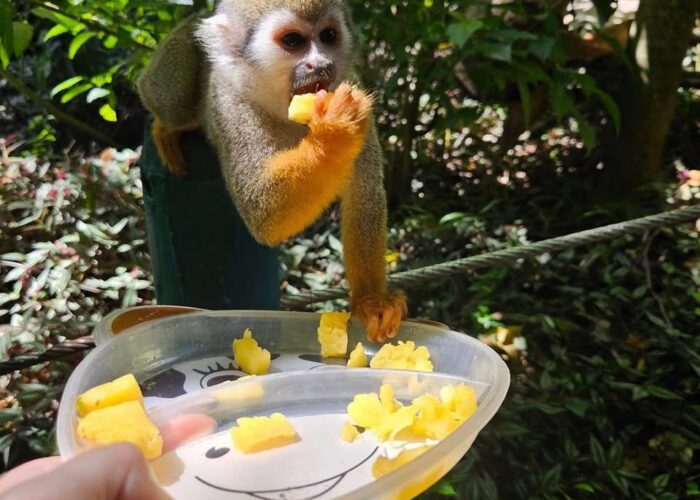 495173739_24418033477785862_58117753037667387_n