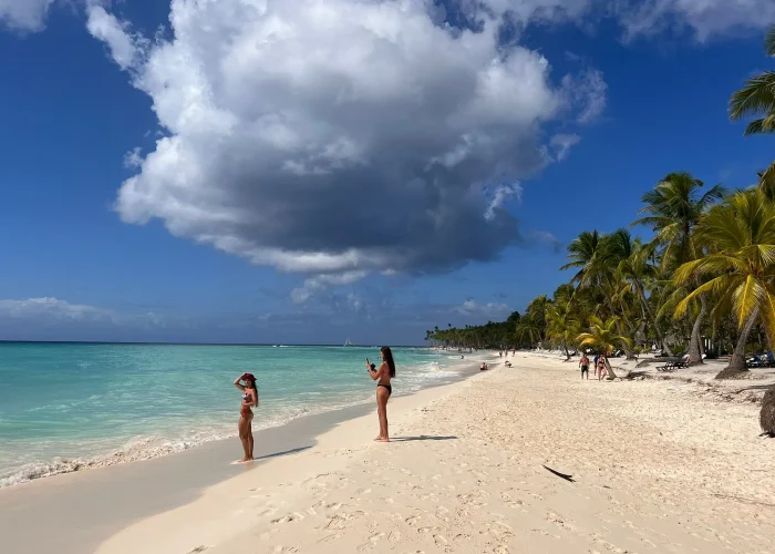 49a2ee55-2a35-4751-ab4b-cf26cfa4e861