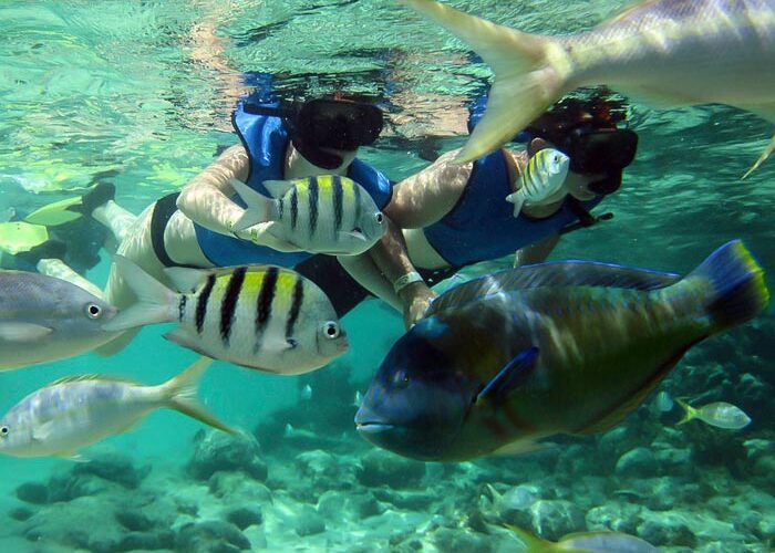 518321032_727794820187931_2322662449213090142_n