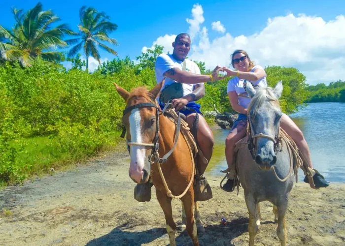 7253fa01-eb40-4cb8-9cbf-258a8a45a53c