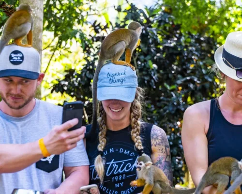 Monkey Adventure Puerto Plata