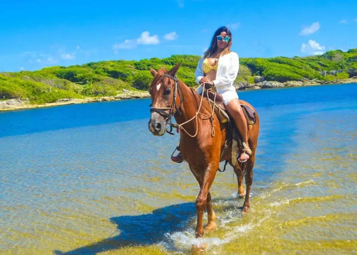 d0f48677-6043-40bd-8bf7-f71c73166b87