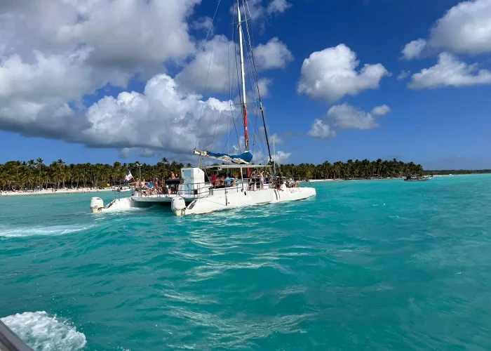 d454c7a9-42a7-4e5e-847e-eb5483f9f350