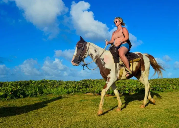 d9215073-a7c4-4f72-a1e4-5b3d7823b92c